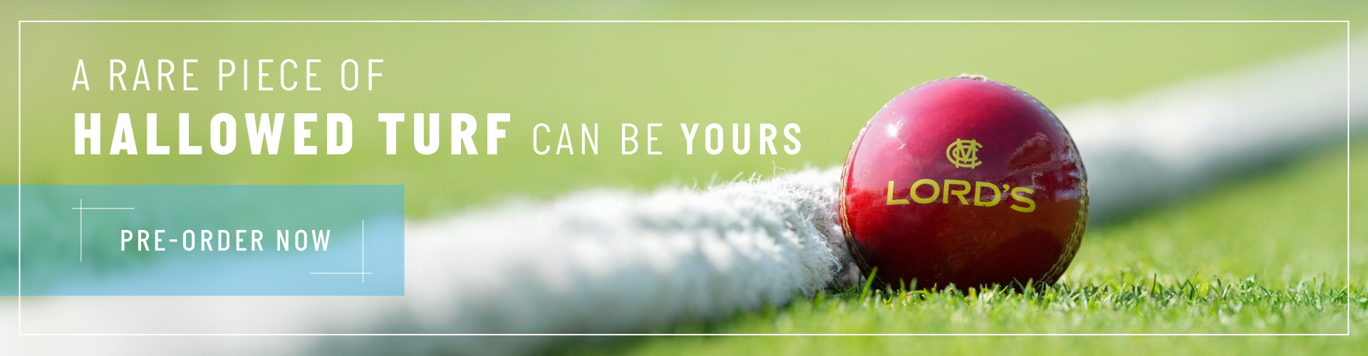 R087_Turf-sale_email_1920x500-(1).jpg